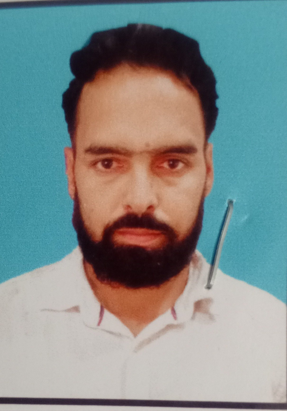 संजय पाल